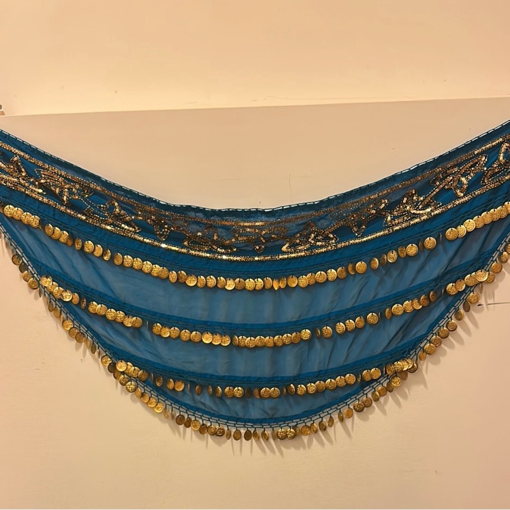 BELLY DANCING SKIRT by India Arts